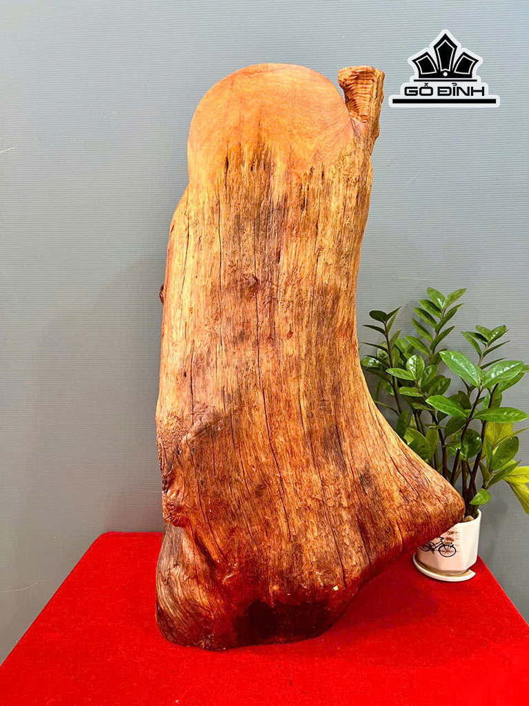 tuong-dat-ma-su-to-go-huong-cao-68-ngang-40-sau-30-cm-454100