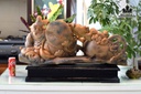 tuong-nhat-tam-bai-phat-go-bach-xanh-cao-ca-ky-91-rieng-ky-cao-5-ngang-41-sau-28-cm-454239