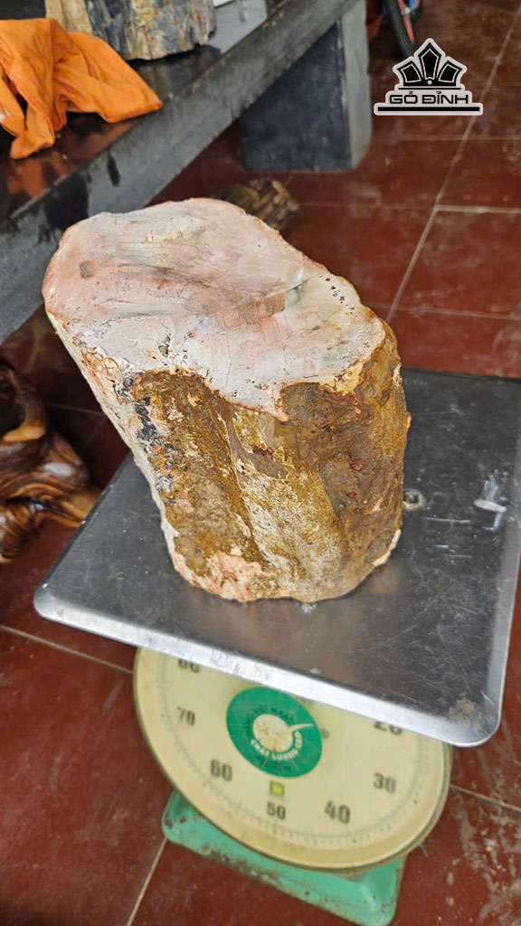 tac-pham-go-hoa-thach-cao-23-ngang-20-nang-12kg-454751