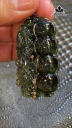 mat-day-da-thach-anh-toc-xanh-dong-truc-mat-meo-cao-50-ngang-27-sau-10-mm-18gr-455512