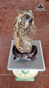 tac-pham-go-hoa-thach-cao-42-ngang-12-cm-nang-7kg-455977