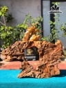 tuong-my-hau-vuong-go-doi-cao-55-ngang-60-sau-18-cm-456221