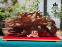 tuong-nhat-long-von-ngoc-go-bach-xanh-cao-38-ngang-70-sau-18-cm-456226