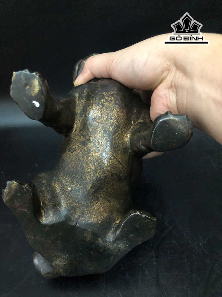 cap-cun-dong-cao-17-ngang-15-cm-456488