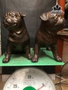 cap-cun-dong-cao-17-ngang-15-cm-456493