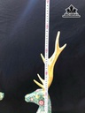cap-huou-phong-thuy-dong-phap-lam-nang-20kg-456496