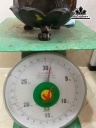 dinh-tram-tieu-dong-bang-dong-cao-13-cm-nang-1kg-456671