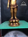 phat-dan-sinh-bang-dong-cao-26-ngang-8-cm-456683