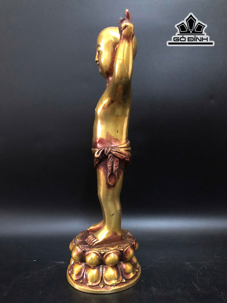phat-dan-sinh-bang-dong-cao-26-ngang-8-cm-456686