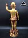 phat-dan-sinh-bang-dong-cao-26-ngang-8-cm-456689