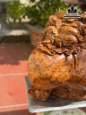 tuong-phat-di-lac-go-nu-ngoc-am-cao-43-ngang-48-sau-36-cm-457069