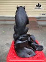 tuong-khi-go-trac-cao-28-ngang-22-sau-19-cm-457144