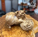 tuong-heo-go-nu-ngoc-am-cao-17-ngang-26-sau-14-cm-457452