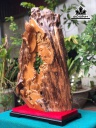 tuong-nhat-tam-bai-phat-go-doi-cao-82-ngang-50-sau-15-cm-458291