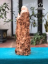tuong-dat-ma-su-to-go-doi-cao-56-ngang-19-sau-19-cm-458332