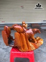 tieu-dong-chan-trau-thoi-sao-go-huong-cao-25-ngang-44-sau-28-cm-458524