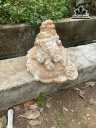 tuong-nghe-go-nu-ngoc-nghien-cao-25-ngang-25-sau-30-cm-458715