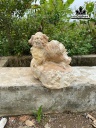 tuong-nghe-go-nu-ngoc-nghien-cao-25-ngang-25-sau-30-cm-458716