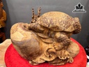 tuong-long-quy-go-nu-ngoc-am-cao-30-ngang-42-sau-22-cm-9kg-458770