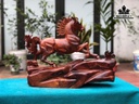 tuong-ngua-phong-thuy-nhat-ma-thong-dong-go-cam-cao-43-ngang-58-sau-19-cm-459063