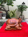 tuong-long-quy-go-cam-cao-21-ngang-38-sau-25-cm-459355