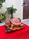 tuong-long-quy-go-cam-cao-21-ngang-38-sau-25-cm-459357