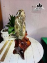 oc-anh-vu-hoa-ngoc-cao-30-ngang-19-cm-34kg-luon-de-459876