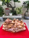 tuong-phat-di-lac-nhat-phuc-thuan-nghe-go-xa-xi-cao-26-ngang-48-sau-21-cm-459961