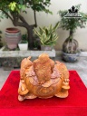 tuong-tam-coc-ngam-tien-go-huong-cao-30-ngang-31-sau-25-cm-459963