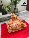 tuong-tam-coc-ngam-tien-go-huong-cao-30-ngang-31-sau-25-cm-459965