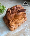 tuong-coc-ngam-tien-go-ngoc-am-cao-27-ngang-31-sau-28-cm-75kg-460315
