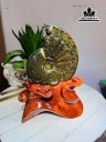 tac-pham-hoa-uu-dam-da-tram-tich-cao-58-ngang-50-cm-52kg-luon-de-460465
