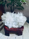 tac-pham-da-thach-anh-tim-cao-32-ngang-18-cm-5kg-460480