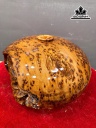 bi-tien-phu-quy-go-nu-ngoc-am-cao-21-ngang-35-sau-32-cm-105kg-460652