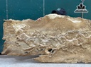 tranh-bat-ma-go-nu-ngoc-nghien-ngang-141-rong-68-sau-4-cm-460712