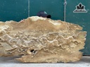 tranh-bat-ma-go-nu-ngoc-nghien-ngang-141-rong-68-sau-4-cm-460714