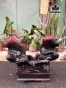 tuong-ca-xiem-go-trac-cao-ca-ky-48-ngang-56-sau-25-cm-rieng-ky-cao-10-460734