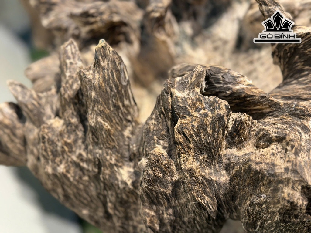 cap-nui-canh-go-tram-huong-cao-80-ca-de-ngang-40-cm-nang-18kg-1doi-460887