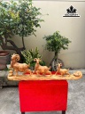 tuong-gia-dinh-de-go-ngoc-am-cao-35-ngang-100-sau-12-cm-461045