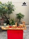 tuong-gia-dinh-de-go-ngoc-am-cao-35-ngang-100-sau-12-cm-461047