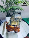 tac-pham-hoa-uu-dam-da-tram-tich-cao-22-ngang-14-cm-25kg-461191