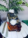 tac-pham-hoa-uu-dam-da-tram-tich-cao-22-ngang-14-cm-25kg-461194
