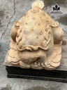 tuong-coc-ngam-tien-go-ngoc-am-cao-42-ngang-50-sau-45-cm-461371