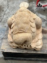 tuong-coc-ngam-tien-go-ngoc-am-cao-39-ngang-45-sau-45-cm-461382
