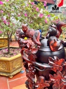 binh-phu-quy-go-trac-cao-50-ngang-28-sau-26-cm-461533