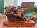 tuong-nhat-long-go-bach-xanh-cao-ca-ky-65-ngang-108-sau-25-cm-ky-cao-12-cm-461843