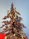 binh-hoa-go-huong-cao-100-ngang-60-sau-50-cm-462041