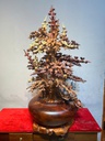 binh-hoa-go-huong-cao-100-ngang-60-sau-50-cm-462043