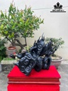 tuong-nhat-long-go-mun-sung-cao-ca-ky-63-rieng-tuong-cao-52-ngang-76-sau-30-cm-462358