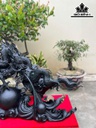 tuong-nhat-long-go-mun-sung-cao-ca-ky-63-rieng-tuong-cao-52-ngang-76-sau-30-cm-462359